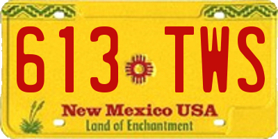 NM license plate 613TWS