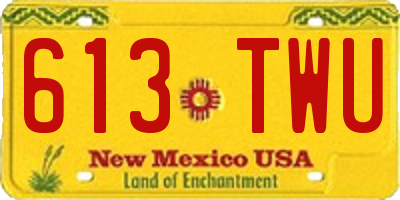NM license plate 613TWU