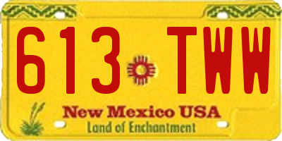 NM license plate 613TWW