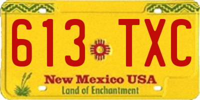 NM license plate 613TXC
