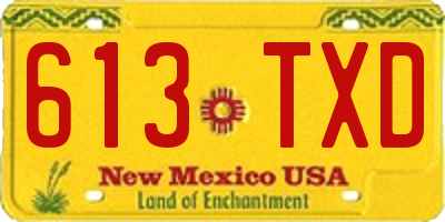 NM license plate 613TXD