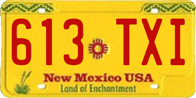 NM license plate 613TXI