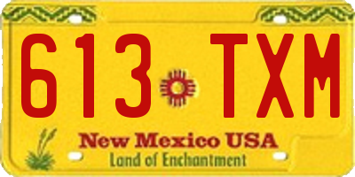 NM license plate 613TXM