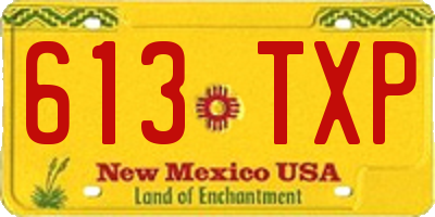 NM license plate 613TXP