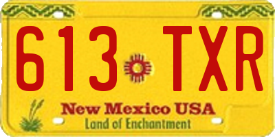 NM license plate 613TXR