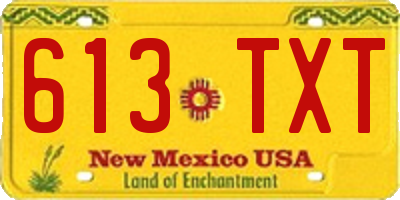 NM license plate 613TXT