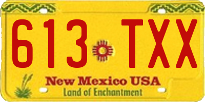 NM license plate 613TXX
