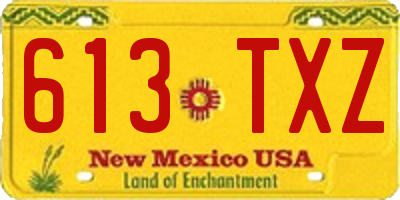 NM license plate 613TXZ