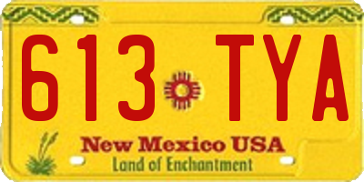 NM license plate 613TYA