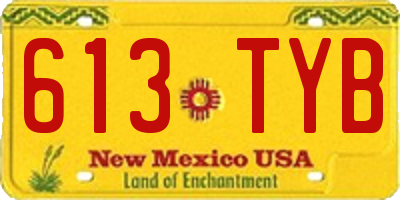 NM license plate 613TYB
