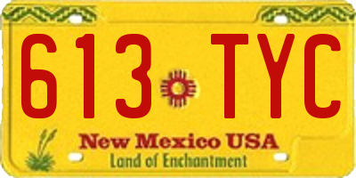 NM license plate 613TYC