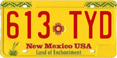 NM license plate 613TYD