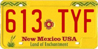 NM license plate 613TYF