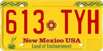 NM license plate 613TYH
