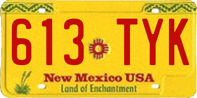 NM license plate 613TYK