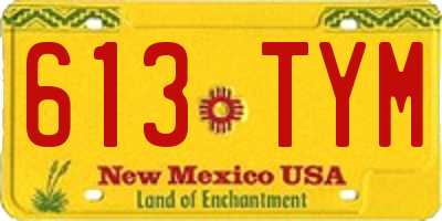 NM license plate 613TYM