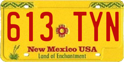 NM license plate 613TYN