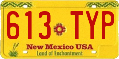 NM license plate 613TYP