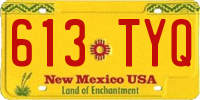 NM license plate 613TYQ