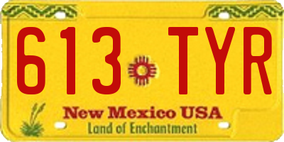 NM license plate 613TYR