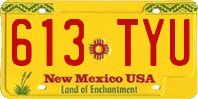 NM license plate 613TYU