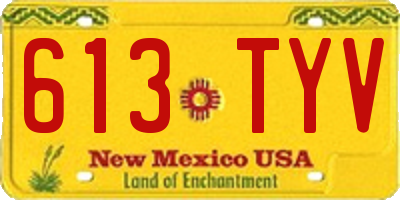 NM license plate 613TYV