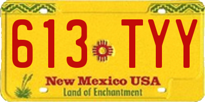 NM license plate 613TYY
