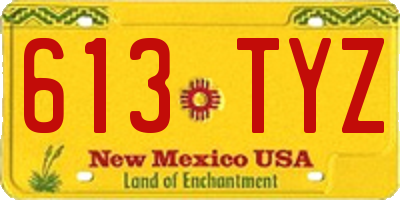 NM license plate 613TYZ