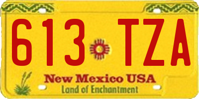 NM license plate 613TZA
