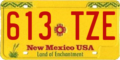 NM license plate 613TZE