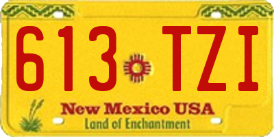 NM license plate 613TZI