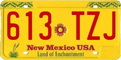 NM license plate 613TZJ