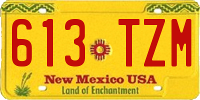 NM license plate 613TZM