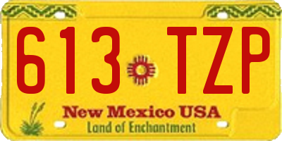 NM license plate 613TZP