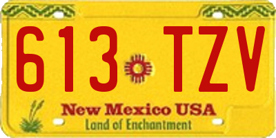 NM license plate 613TZV