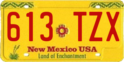 NM license plate 613TZX