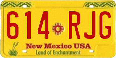 NM license plate 614RJG
