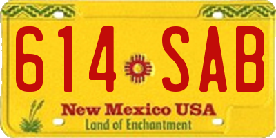 NM license plate 614SAB