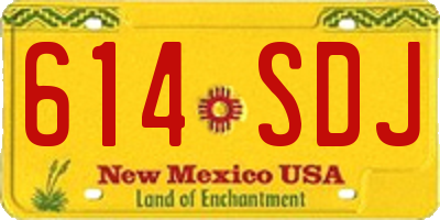 NM license plate 614SDJ