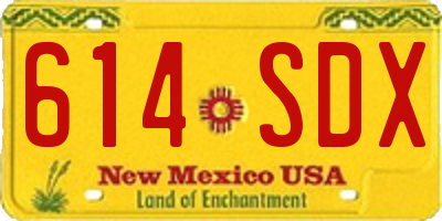 NM license plate 614SDX