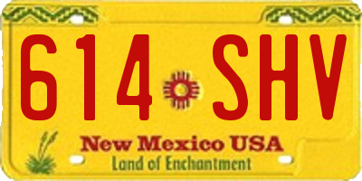 NM license plate 614SHV