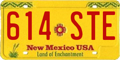 NM license plate 614STE