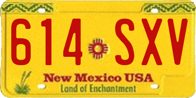 NM license plate 614SXV