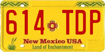 NM license plate 614TDP