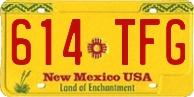 NM license plate 614TFG