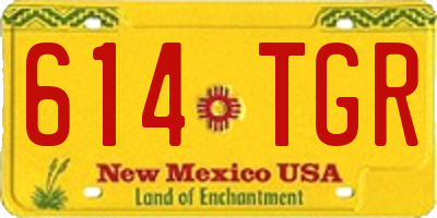 NM license plate 614TGR