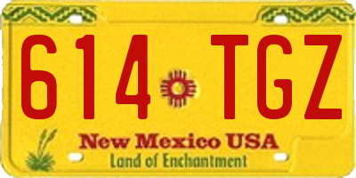 NM license plate 614TGZ