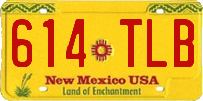 NM license plate 614TLB