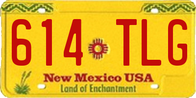 NM license plate 614TLG