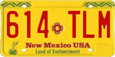 NM license plate 614TLM